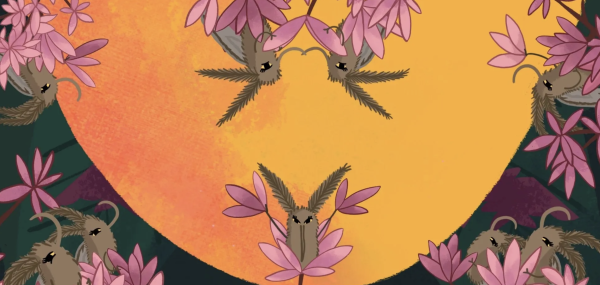 Bats & Bugs